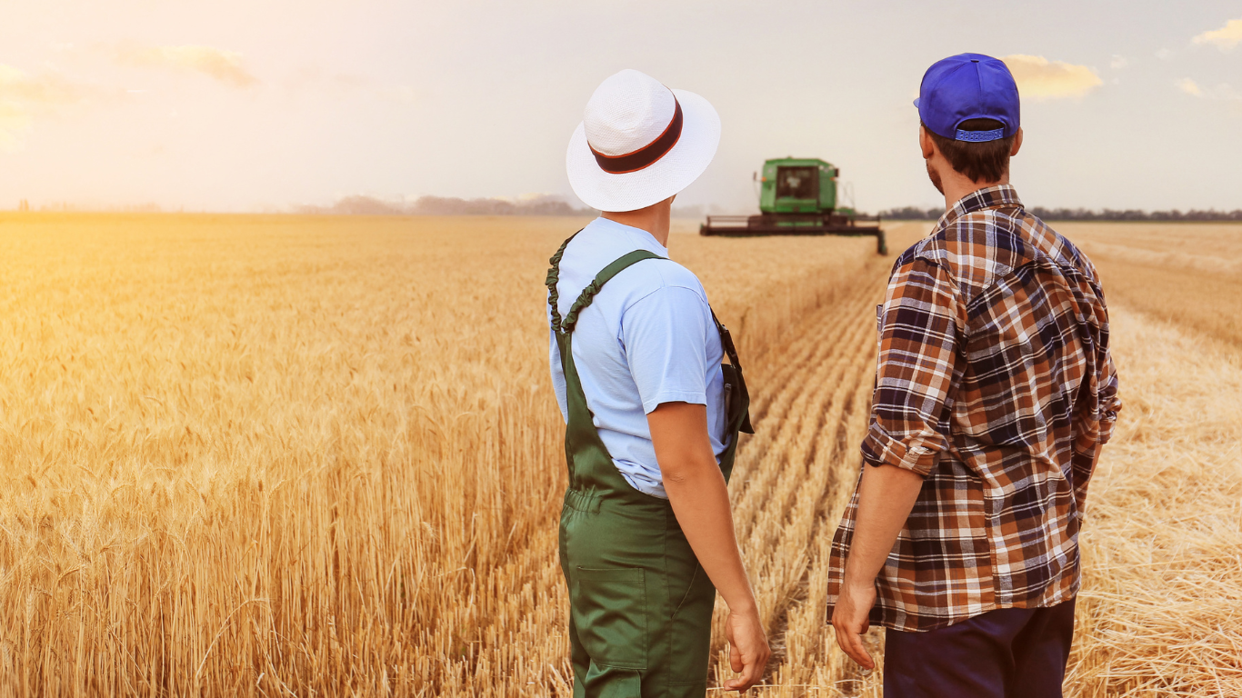 Dois produtores rurais olhando a lavoura de constas. Denúncia vazia - arrendamento rural.