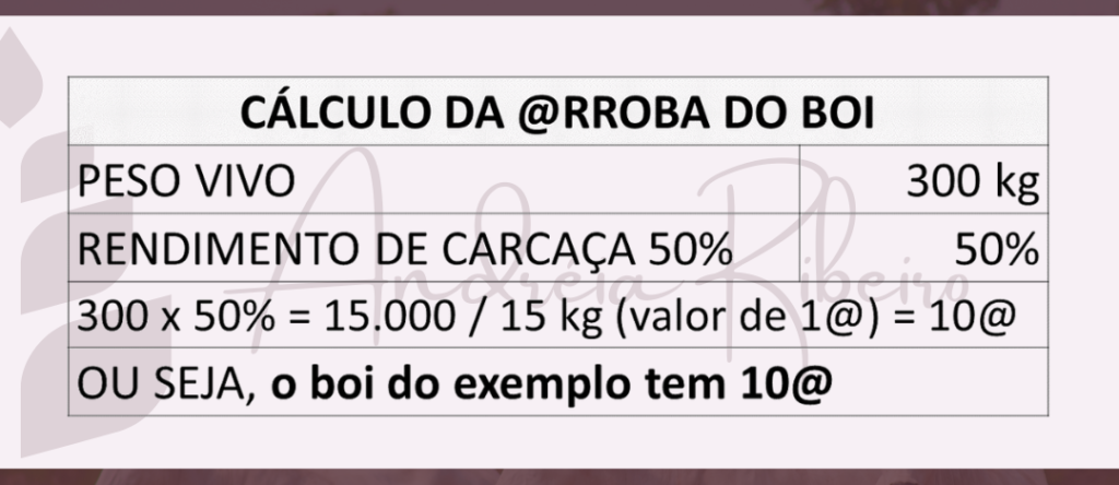 Cálculo. Como calcular a arroba do boi?