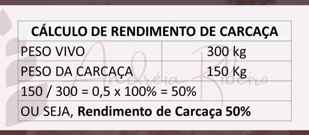 Cálculo. Como calcular a arroba do boi?